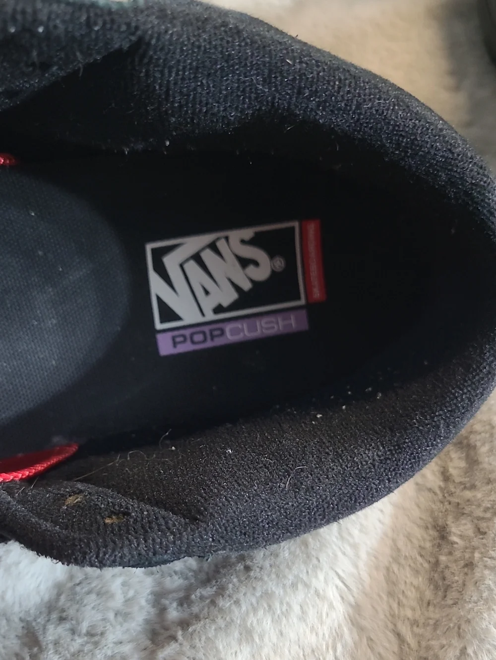 Vans great pair